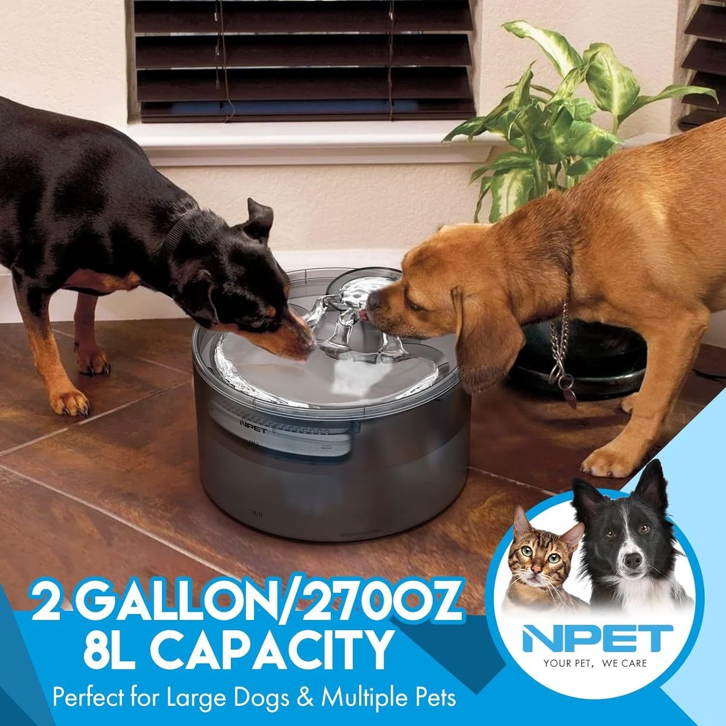 Dog Water Fountain 2 Gallon NPET DF30 – Automatic Pet Water Dispenser Triple Filtration with Splatter Guard & Cleaning Kit for Large Dogs