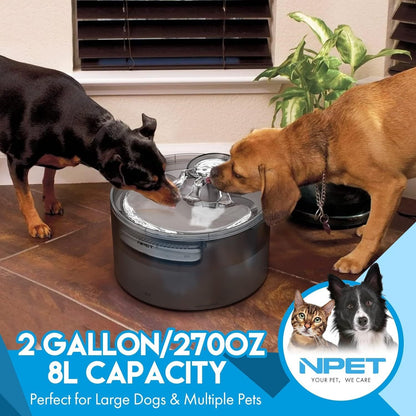 Dog Water Fountain 2 Gallon NPET DF30 – Automatic Pet Water Dispenser Triple Filtration with Splatter Guard & Cleaning Kit for Large Dogs