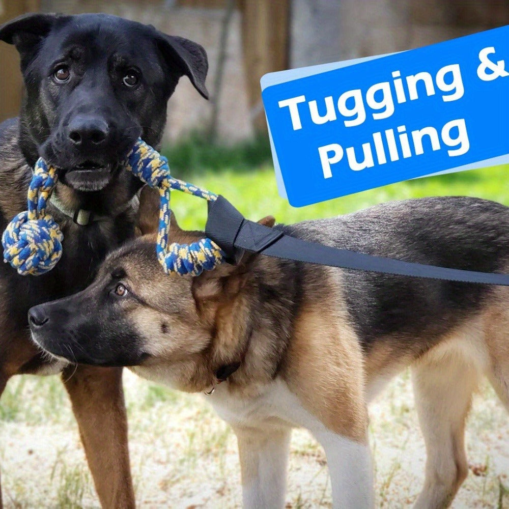 Bungee Dog Tug Toy Outdoor Hanging from Tree Height Adjustable 19.7 Ft Elastic Cord Tether with Chew Rope