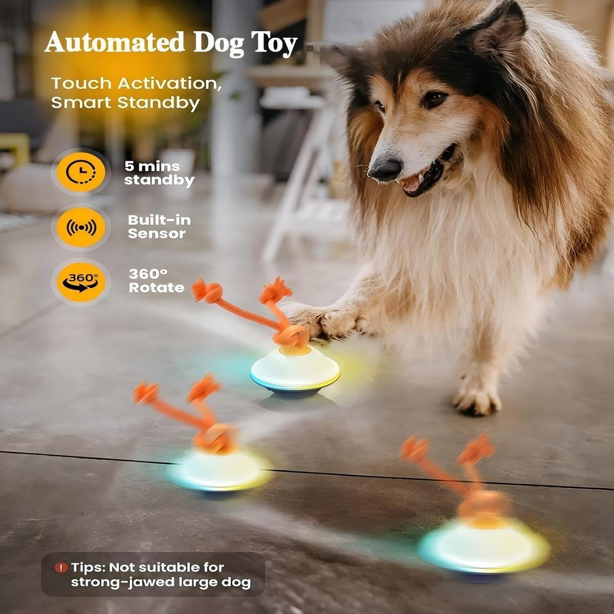 Automatic Rolling Dog Ball Toy with Rope – Motion-Activated Wicked Ball with Voice Recording, Interactive Self-Moving Stimulation Toy