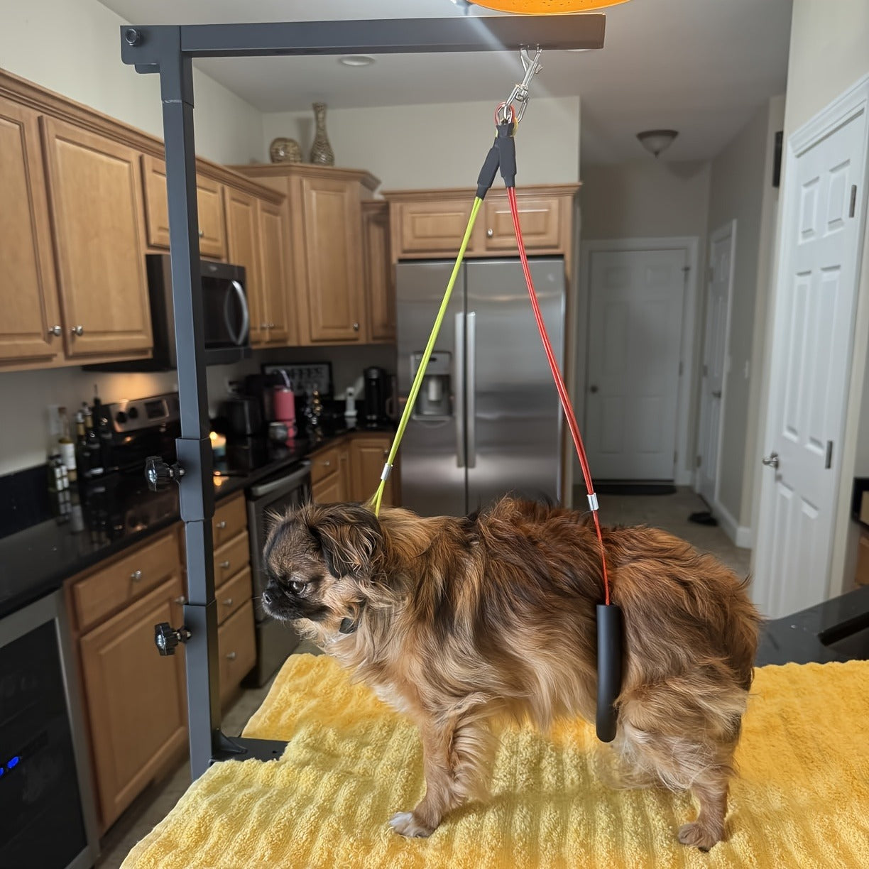 Pet Grooming Arm, 36-Inch Three-Section Iron Clamp Stand with Haunch Holder and Positioning Ropes