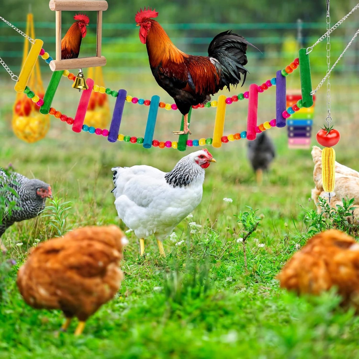 Chicken Coop Toys Set – Xylophone, Swing, Mirror, Step Ladder & Pecking Toys for Hens, Wood & Colorful Bead Enrichment Accessories