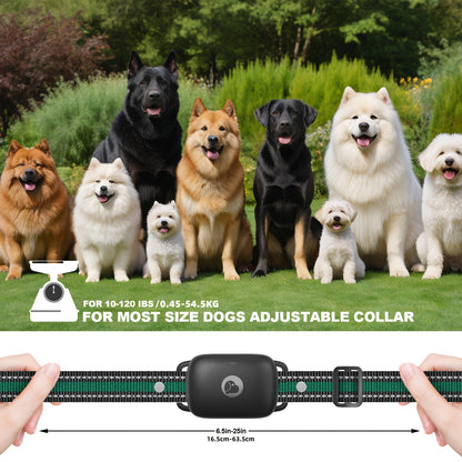 Dog E-Collar with Remote IP68 Waterproof – Rechargeable Dog Training Shock Collar for Small Medium Large Dogs, 3 Safe Training Modes