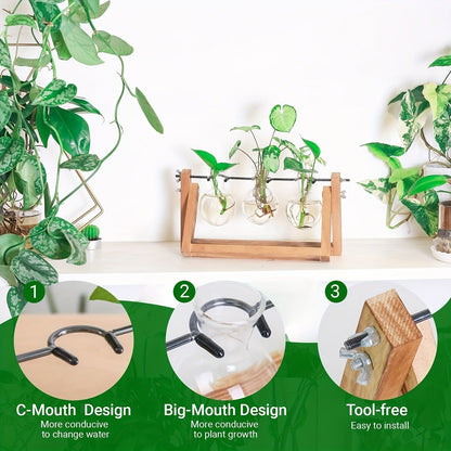 Propagation Station 3 Bulb Glass Vase with Wooden Stand – Hydroponic Plant Terrarium for Home Office Desk Decor