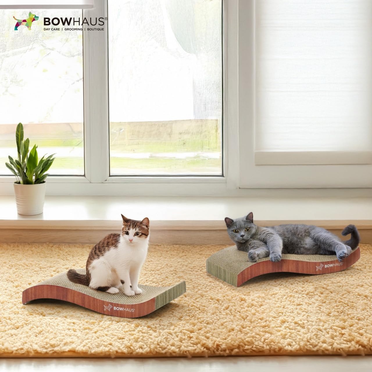 Cat Scratcher Lounger Reversible – Large Cardboard Cat Scratching Pad & Board for Indoor Cats, 5-Layer Durable Construction