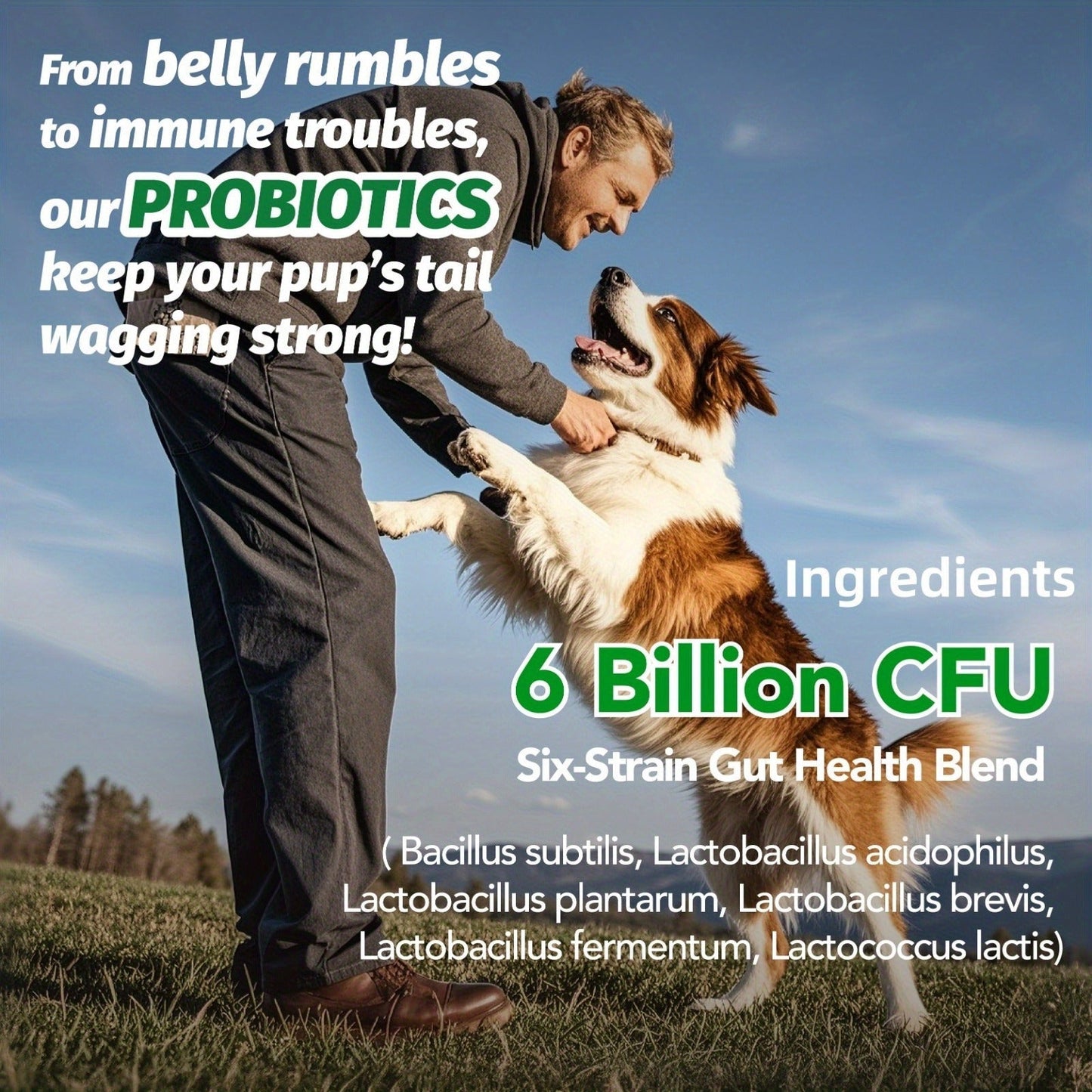 Dog Probiotic Soft Chews, Chicken Flavor, 90-Count Bottle with One- or Three-Bottle Checkout Options