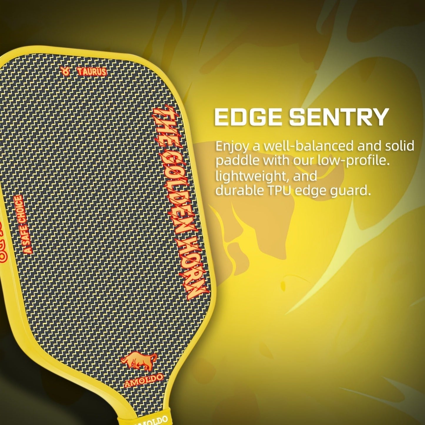 Titanium Pickleball Paddle 16mm Wire Woven Surface PP Honeycomb Core Hot Pressed Power Control Spin Pickleball Racket for Beginner