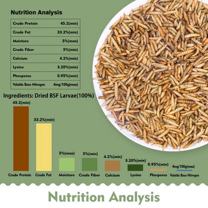 Non-GMO Dried Black Soldier Fly Larvae 5LB & 10LB – 85X More Calcium Than Mealworms, High Protein BSFL Treats for Chickens, Ducks