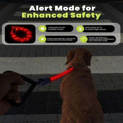 LED Dog Leash 4FT Light Up with 13 Lighting Modes & Tangle-Free Hook, Rechargeable Glow in the Dark Night Walking Leash