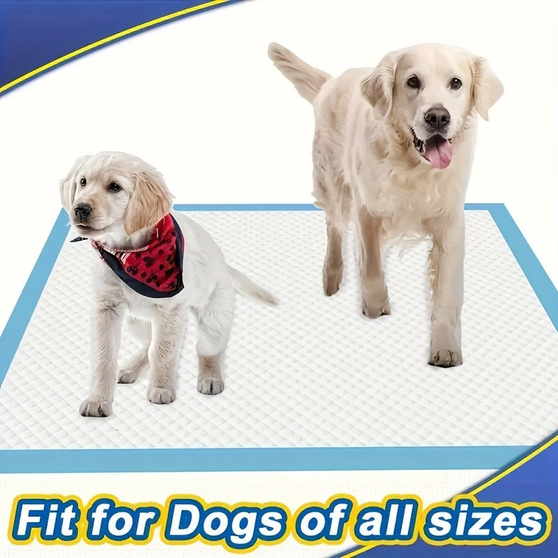 Disposable Pet Training Pads in 34 x 28 or 23.62-Inch Sizes with Four Pack Count Options Available