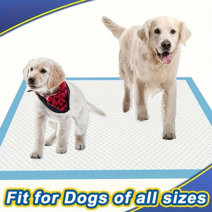 Disposable Pet Training Pads in 34 x 28 or 23.62-Inch Sizes with Four Pack Count Options Available