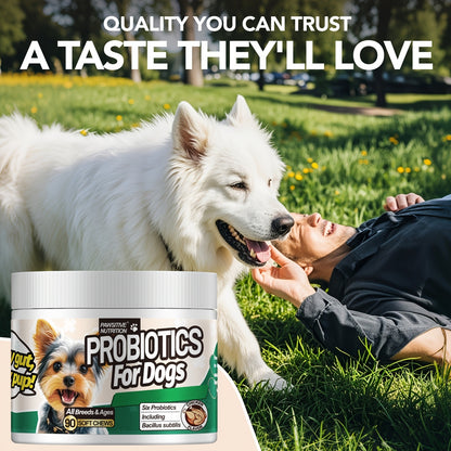 Dog Probiotic Supplement 6 Billion CFU with Prebiotic – 90 Chicken Flavor Chews for Itching Skin Relief, Digestive & Immune Health