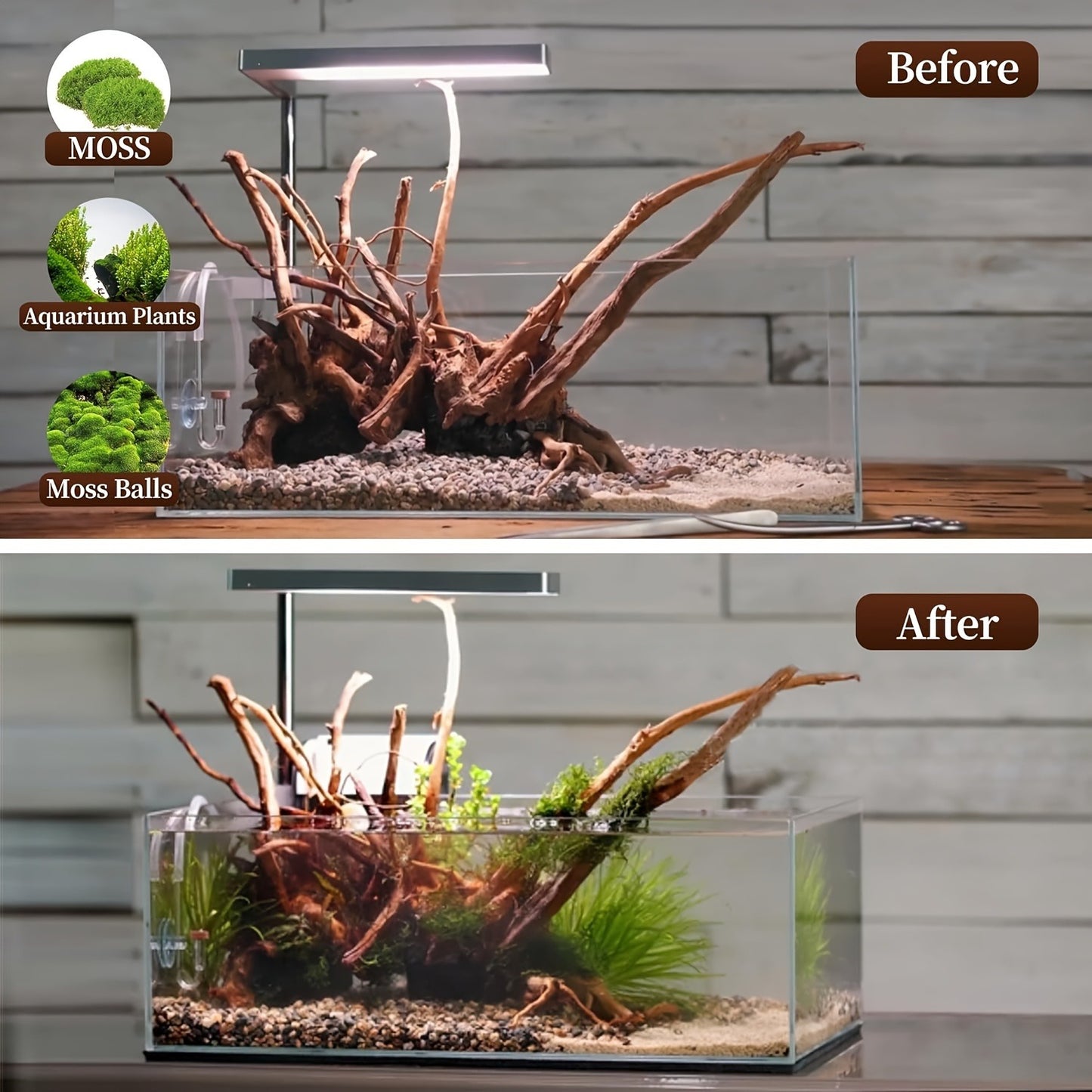 Natural Driftwood for Aquarium Reptile Terrarium – 5-Pack Assorted Branches Decoration for Freshwater & Saltwater Fish Tanks