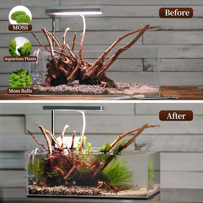 Natural Driftwood for Aquarium Reptile Terrarium – 5-Pack Assorted Branches Decoration for Freshwater & Saltwater Fish Tanks