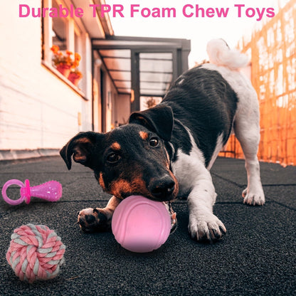 Puppy Teething Chew Toys Pink Bundle 5 or 8 Pack Soft Dog Toothbrush Toy & Interactive Chew Balls for Small Dogs