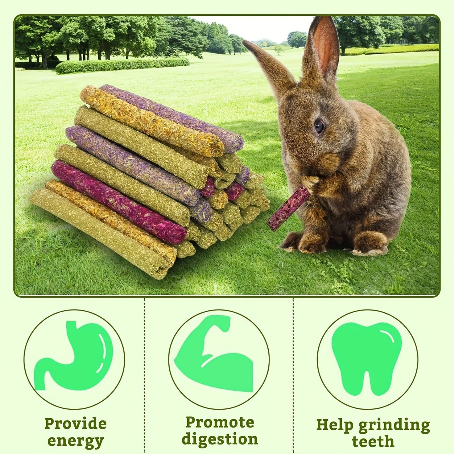 Timothy Hay Sticks 66pcs – Natural Handmade Chew Toys & Treats for Rabbits, Guinea Pigs, Hamsters, Chinchillas, Rats & Gerbils