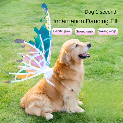 LED Light-Up Butterfly Angel Wings Costume for Dogs, Girls & Women – Multi-Color Illuminated Wings for Halloween, Christmas, Carnival