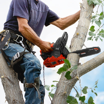 25.4CC 12-Inch Top-Handle Gas Chainsaw with Two-Stroke Engine and Pictured Accessory Group