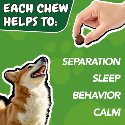 Calming Chews for Dogs & Cats 90ct – Natural Herbal Anxiety & Stress Relief Supplement for Separation, Thunder, Fireworks & Barking