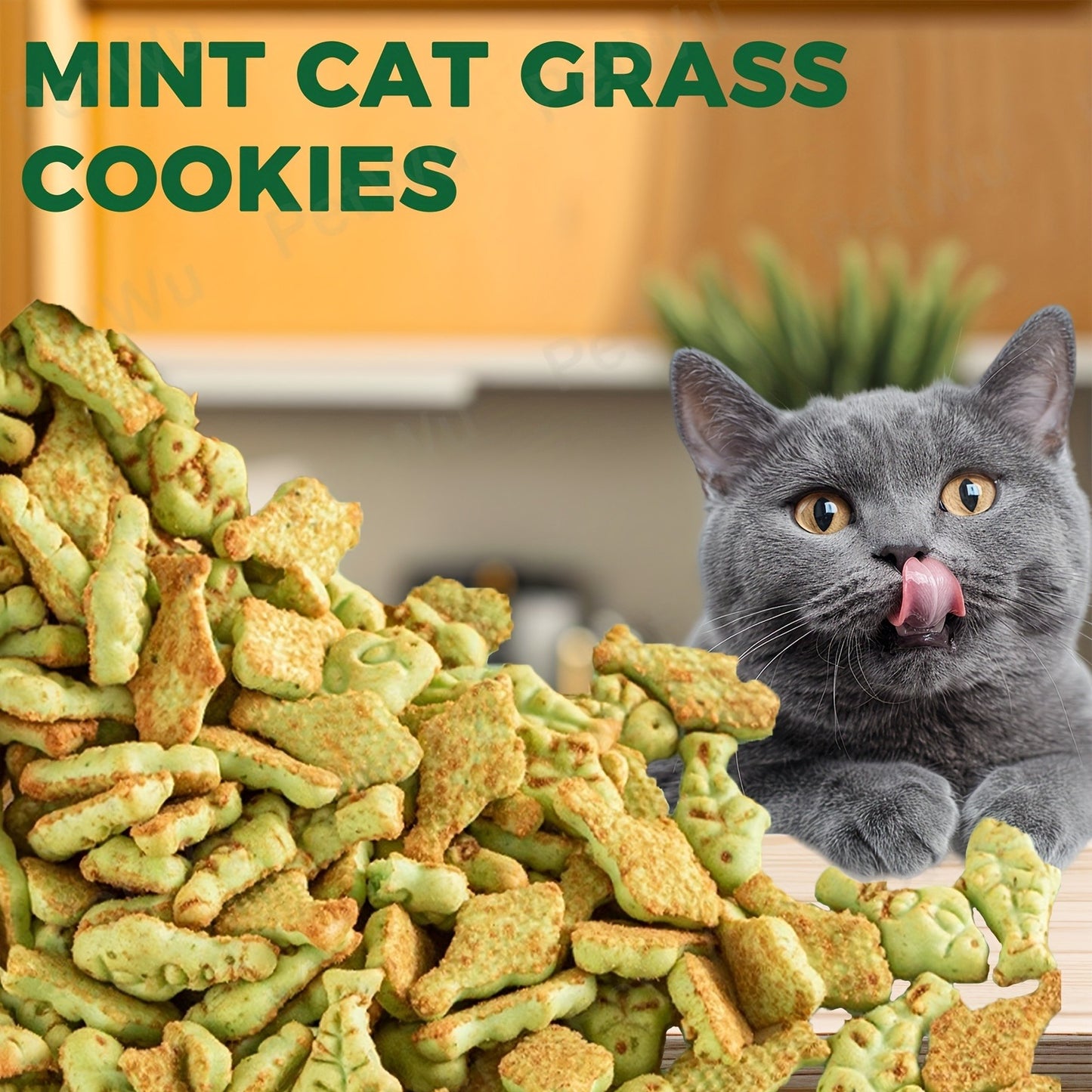 Catnip Cat Treats 150g – Catnip Cookie & Catgrass Molar Stick, Dried Fish Snack for Cats, Teeth Cleaning Dental Chew