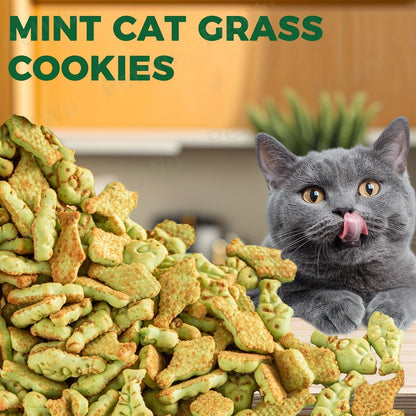 Catnip Cat Treats 150g – Catnip Cookie & Catgrass Molar Stick, Dried Fish Snack for Cats, Teeth Cleaning Dental Chew