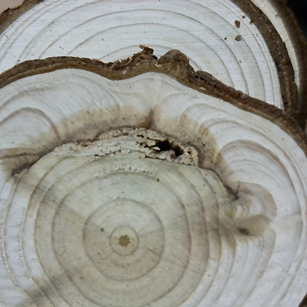 Wood Slices 28 Pcs Natural Log Bark Rounds for Crafts DIY Centerpieces Christmas Ornaments Wreaths Wedding Decor Painting Woodworking