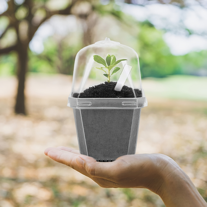 Clear Nursery Pots 3 Inch with Humidity Dome Lids 30pcs | Stackable Seed Starter Pots | Built-In Labels | Succulents Seedlings Cuttings