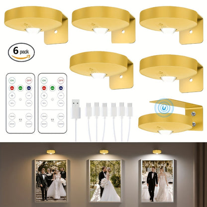 Picture Lights for Wall Rechargeable, Magnetic LED Art Display Light with Remote 3 Color Temperatures Dimmable Timer Golden Finish