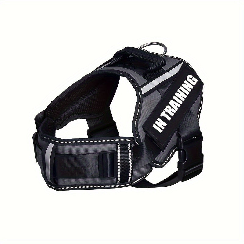 IN TRAINING Patch Dog Harness in Four Colors and XS–XL with Reflective Strips, Handle and Neck Padding