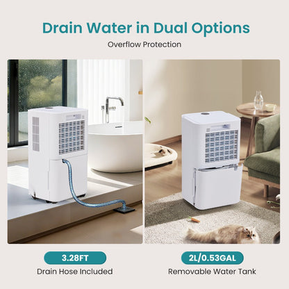 Dehumidifier for Basement 50 Pint 5500 Sq Ft with Drain Hose, Portable Home Dehumidifier for Large Room Bedroom Bathroom