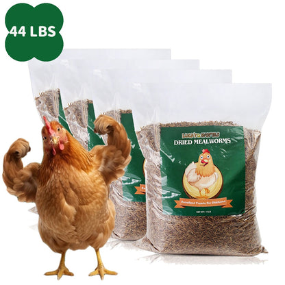 Dried Mealworms High Protein Animal Feed – Natural Insect Treats for Chickens Wild Birds Hens Ducks Turtles Fish Lizards Hamsters