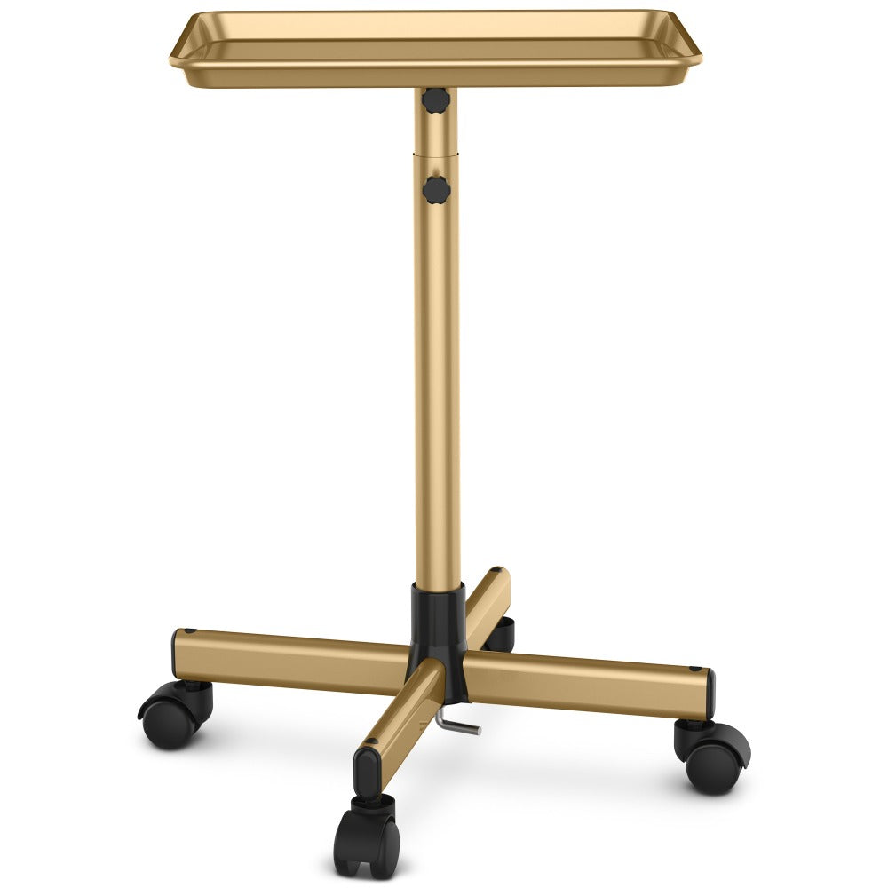 Rolling Salon Tray Cart on Wheels Adjustable Height 17.9x12.8 Inch Mobile Stylist Tray Table for Spa Tattoo Studio Blowdry Bar Aesthetic