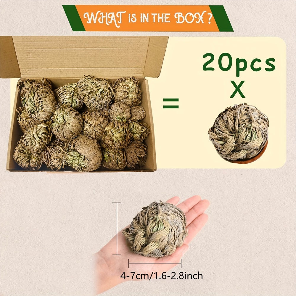 Rose of Jericho 20pcs - Selaginella Lepidophylla Dried Prayer Plants for Spiritual Purification