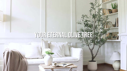 Artificial Olive Tree with Black or White Pot in 6 and 8 Foot Height Checkouts for Indoor Decor