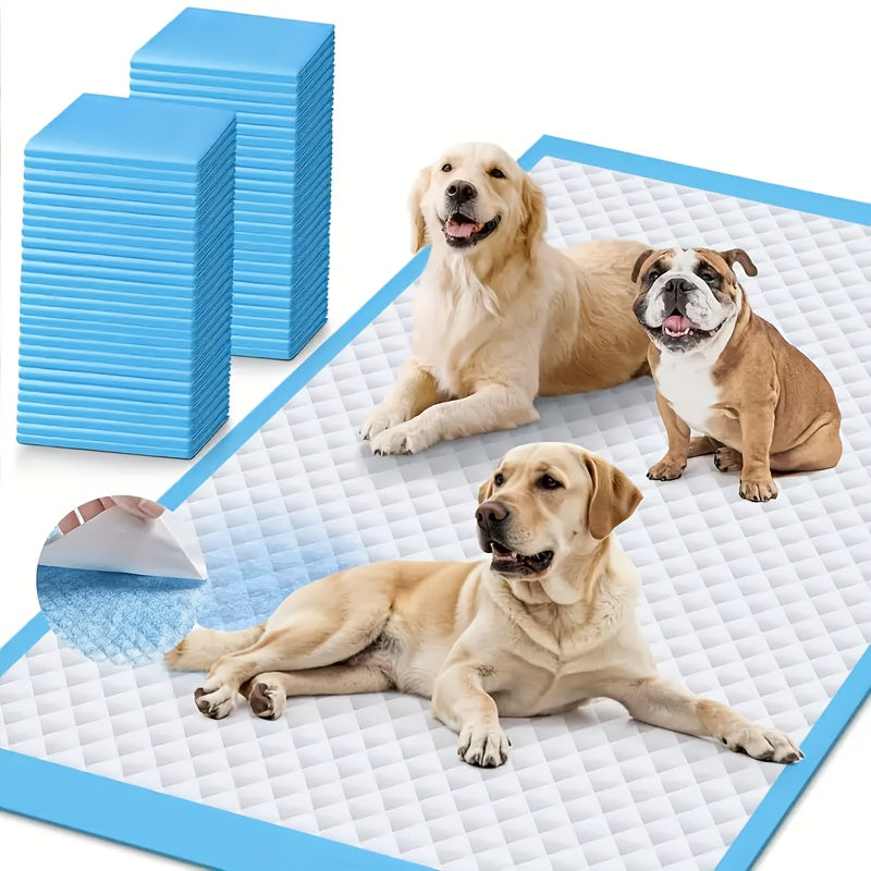 Disposable Dog Pads 24"x24" Bulk Pack – Super Absorbent Leak-Free Puppy Pee Pads with Odor Control for Indoor & Outdoor Use