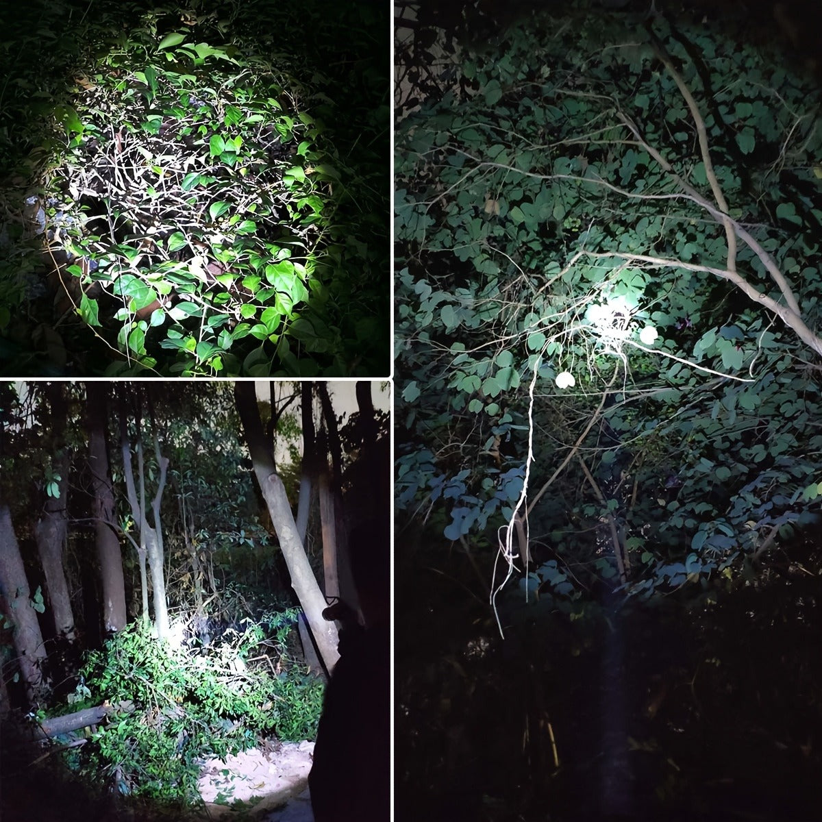 Flashlight Red, Green or White Hunting Light with Remote Switch, 18650 Battery and Mount Options