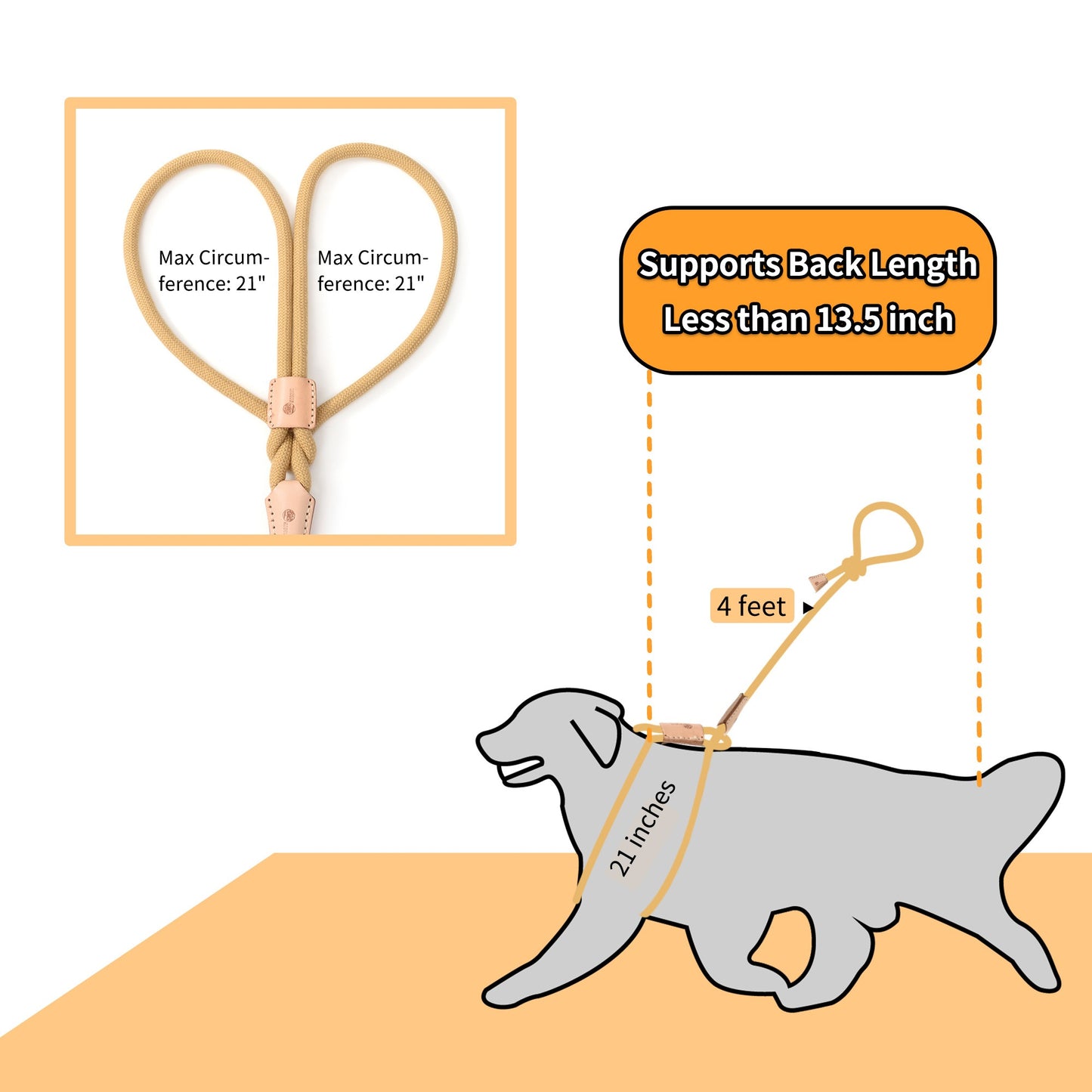 Dog Slip Leash and Harness 2-in-1 Rope Lead – No Pull All-in-One Training Leash for Puppies & Small Dogs, Adjustable Slip Lead with Soft