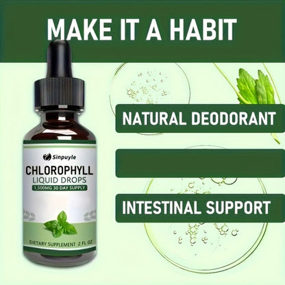 Chlorophyll Liquid Drops, Immune Support, Internal Deodoriser & Skin Health Supplement, Natural Mint Flavour