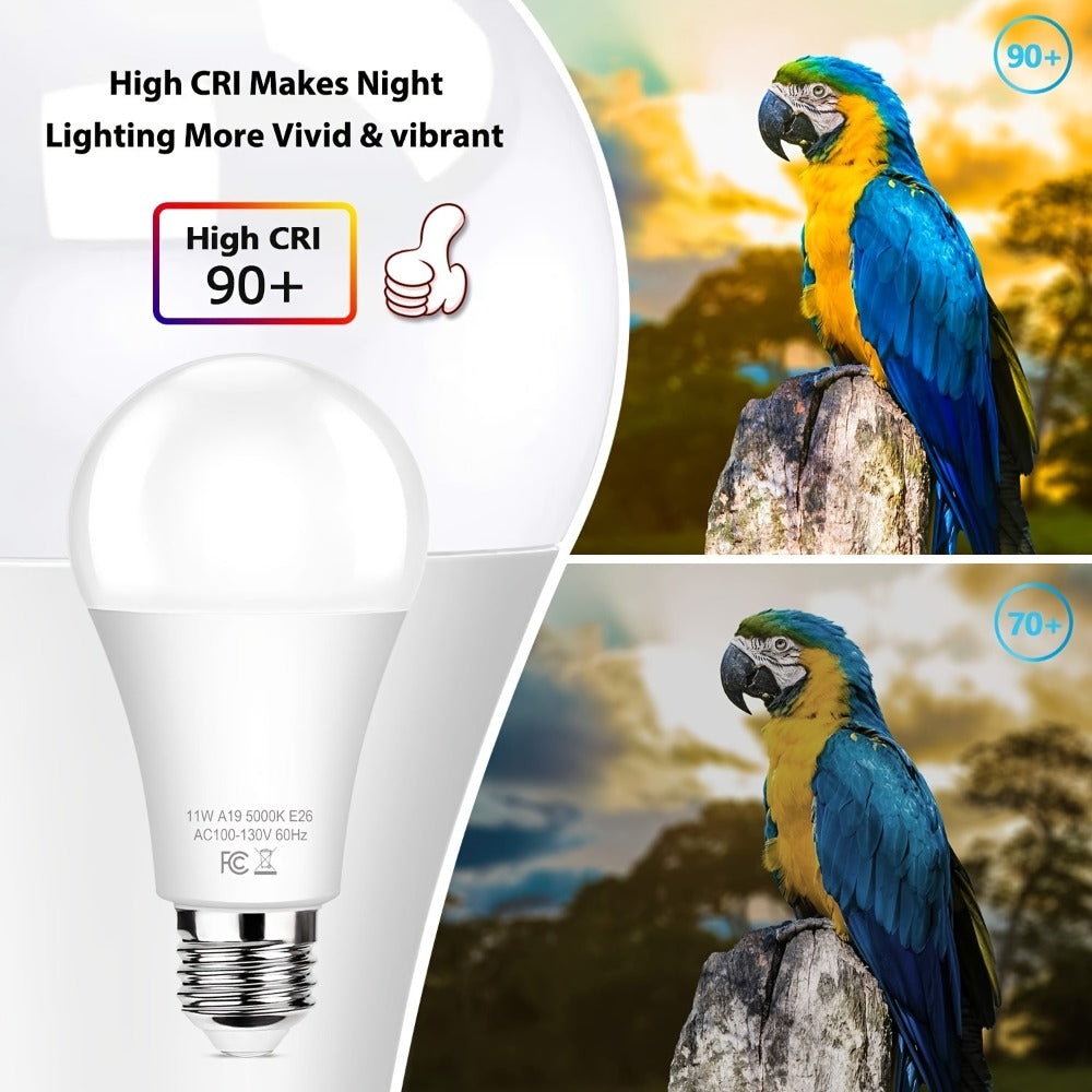 Outdoor Light Bulbs Dusk to Dawn, A19 E26 LED Sensor Bulb 9W 60W Equivalent 800LM 5000K Daylight White, Auto On Off Photocell Smart Sensor