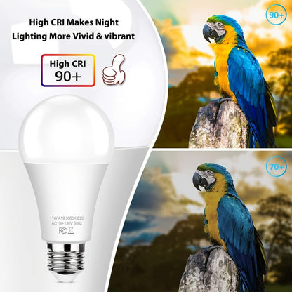 Outdoor Light Bulbs Dusk to Dawn, A19 E26 LED Sensor Bulb 9W 60W Equivalent 800LM 5000K Daylight White, Auto On Off Photocell Smart Sensor