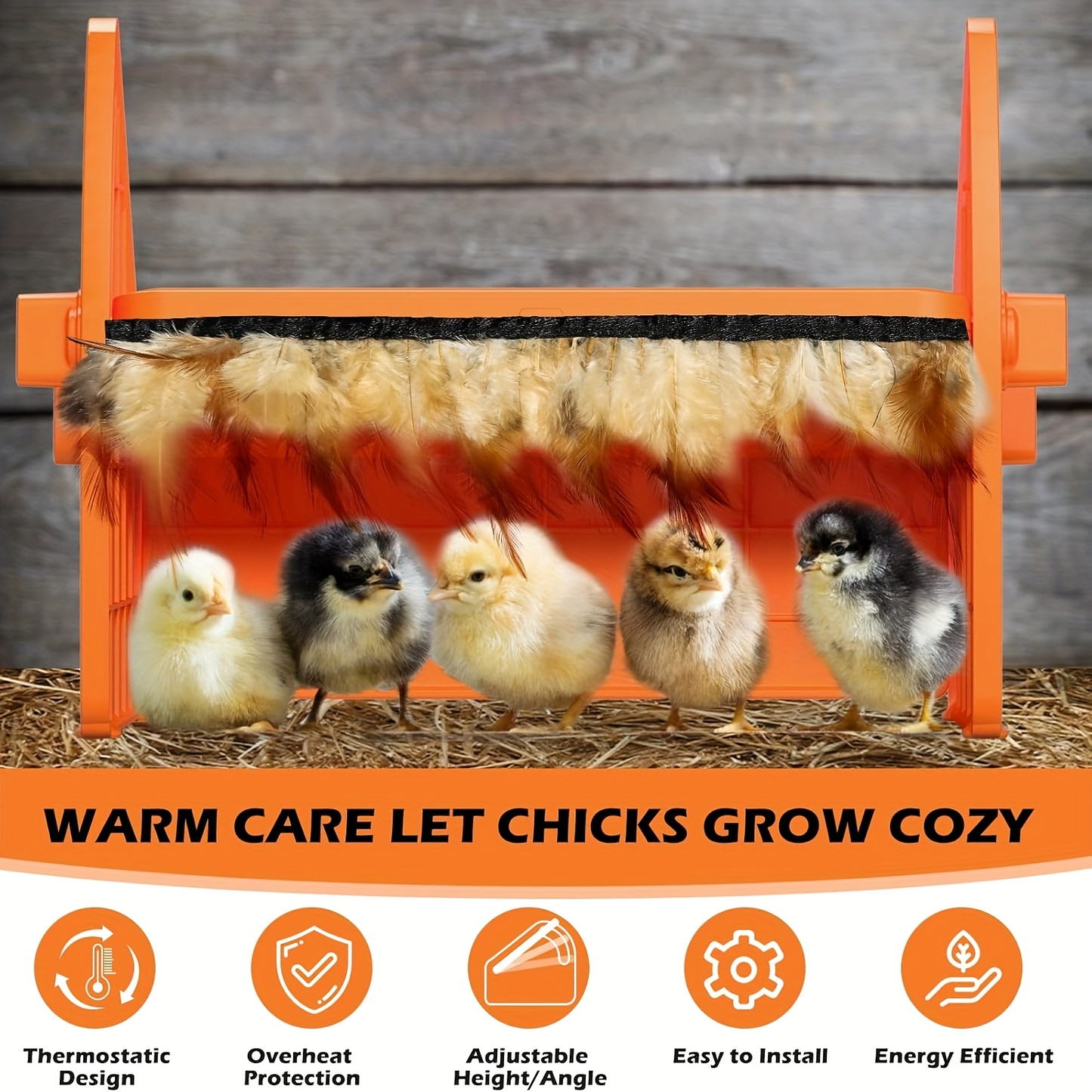 Chick Brooder Plate with Adjustable Height for Up to 10 Chicks, Poultry Warmer for Ducklings, Turkeys