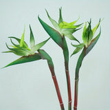 3pcs-Green