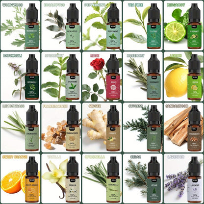 Essential Oils Set for Diffuser, Rosemary Aromatherapy Scented Oils for Home Air Freshening, Humidifier