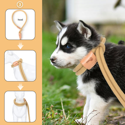 Dog Slip Leash and Harness 2-in-1 Rope Lead – No Pull All-in-One Training Leash for Puppies & Small Dogs, Adjustable Slip Lead with Soft