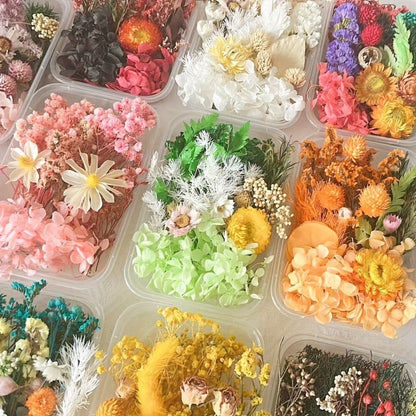 Four-Box Mixed Dried Flower Set with Assorted Colors and Small Botanical Pieces for Craft Decoration