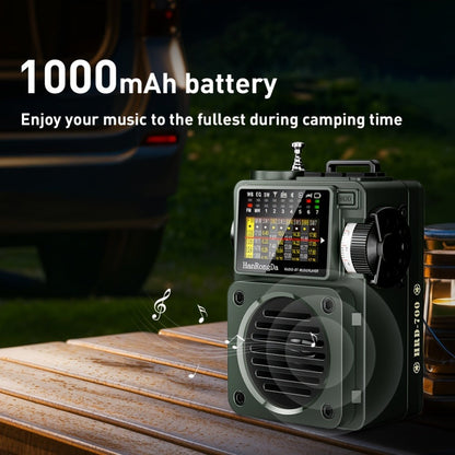 Shortwave Radio Bluetooth Speaker HRD-700 with FM MW SW WB NOAA Weather Alerts, MicroSD, ATS Presets