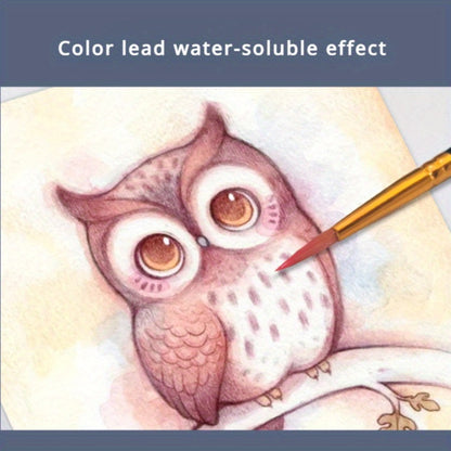 Water Soluble Colored Pencils 12 Colors Set with the Listed Color, Size or Set Options for Everyday Use