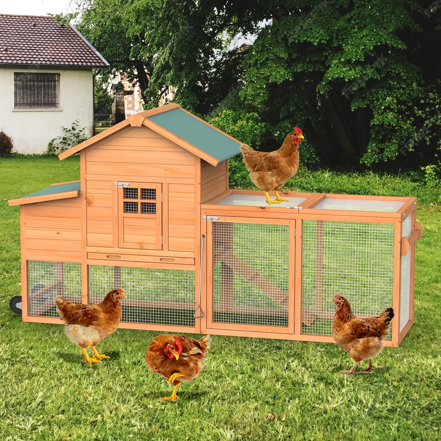 Portable Wooden Chicken Coop with Wheels, Nest Box and Wood Roof or Sunshine Board Run Option