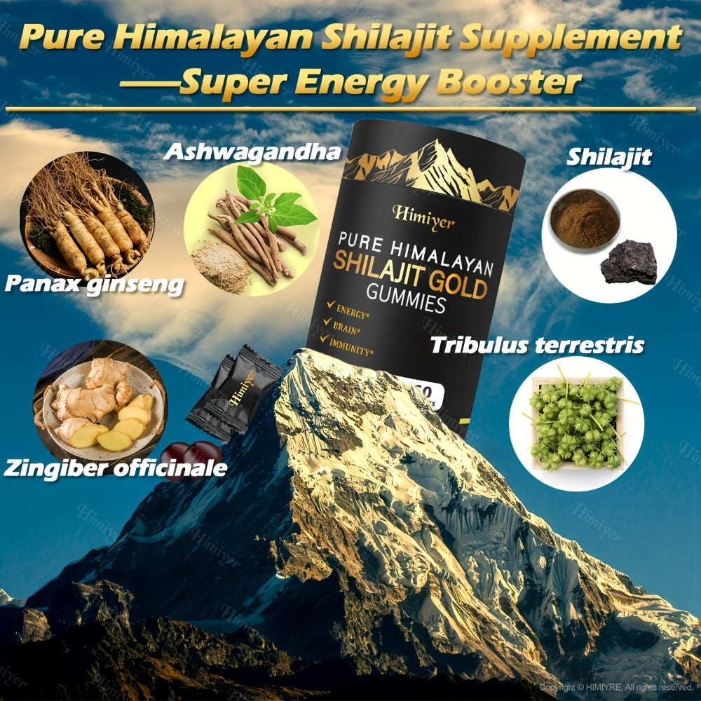 Shilajit Supplement 3000mg with Ginger, Ginseng & Ashwagandha – Pure Fulvic Acid & Multi-Mineral Phytonutrient Formula for Energy, Vitality