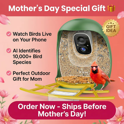 Smart Bird Feeder with Camera AI Bird Identification, 2K HD Live View, Auto Capture & Color Night Vision